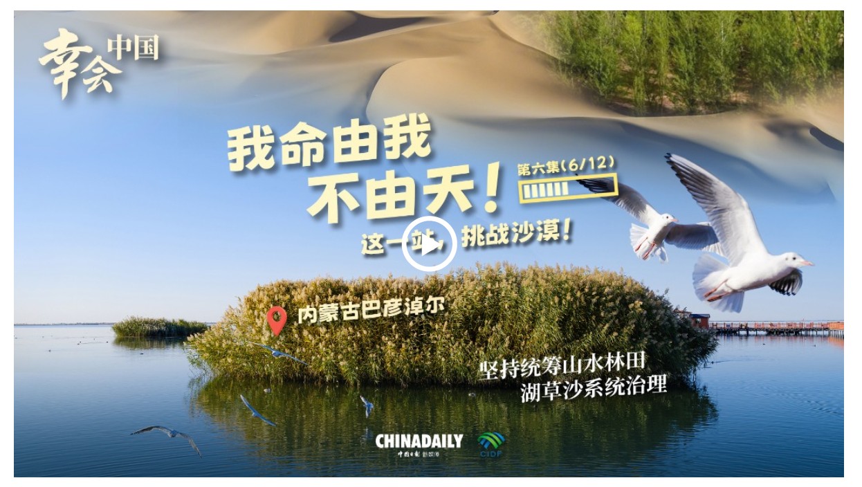幸會中國 | 荒漠變林海，三北工程繪出生態(tài)奇跡