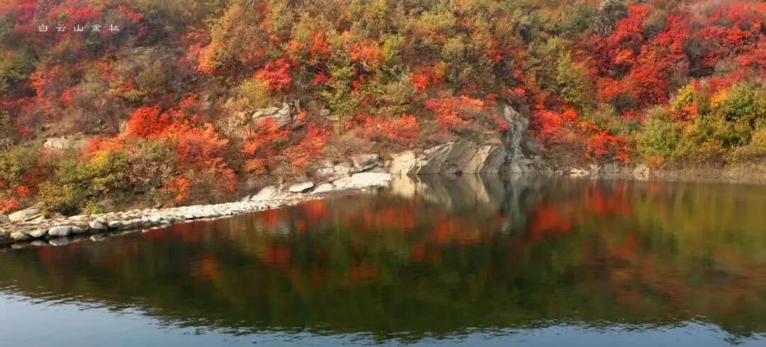秋日漫步：橙紅橘綠時(shí)的詩意畫卷