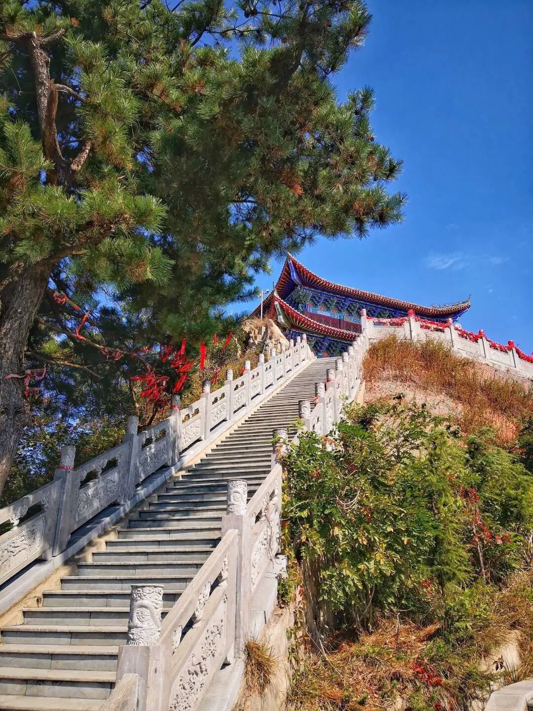 秋日漫步：橙紅橘綠時(shí)的詩意畫卷