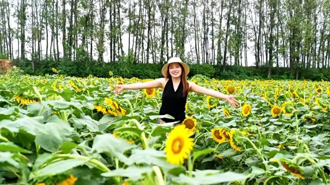 秋日漫步：橙紅橘綠時(shí)的詩意畫卷