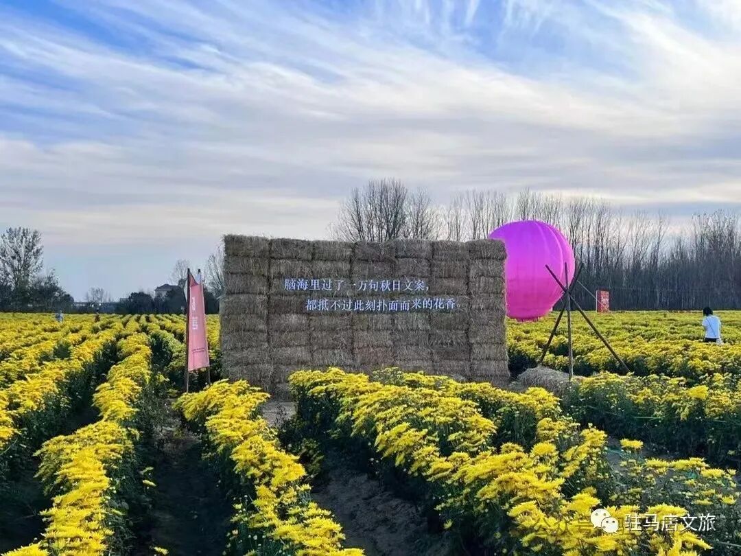 秋日漫步：橙紅橘綠時(shí)的詩意畫卷