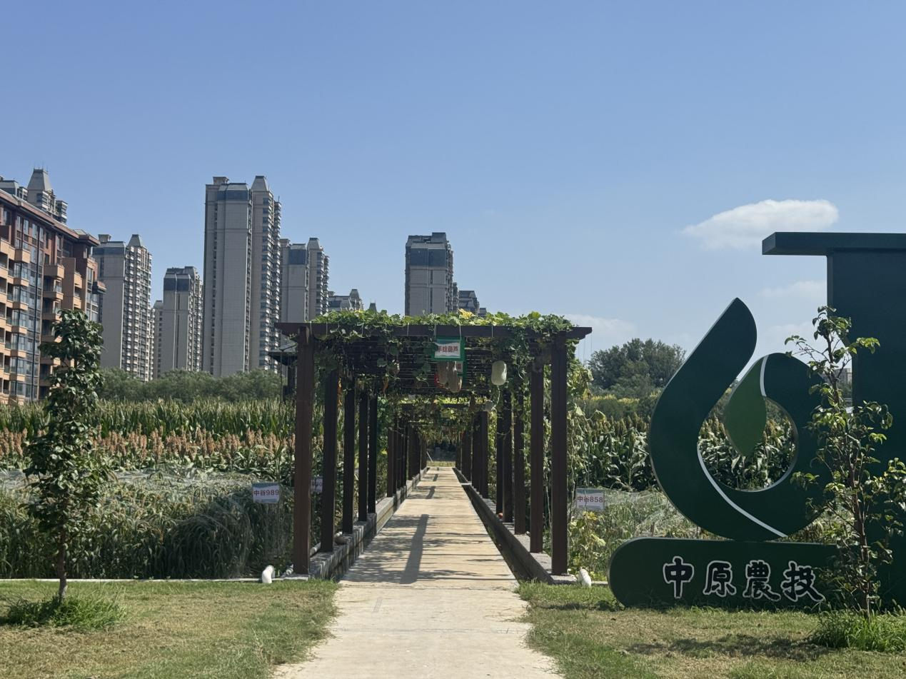 中原農(nóng)谷啟動種肥一體化八萬畝示范田建設(shè)