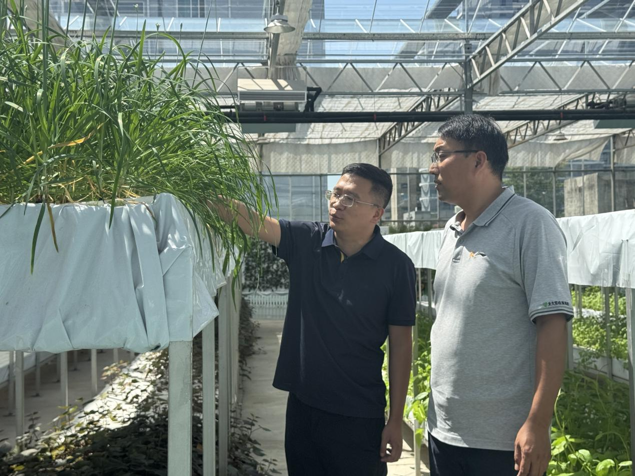 中原農(nóng)谷啟動種肥一體化八萬畝示范田建設(shè)