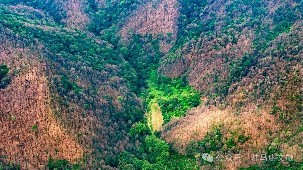 秋日漫步：橙紅橘綠時(shí)的詩意畫卷