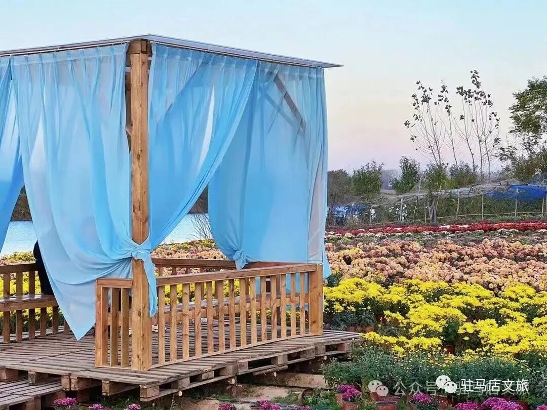 秋日漫步：橙紅橘綠時(shí)的詩意畫卷