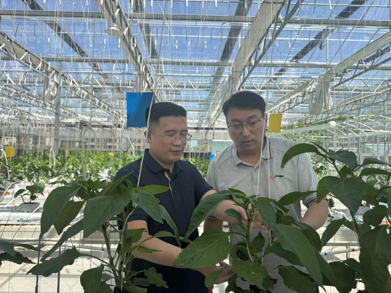 中原農(nóng)谷啟動種肥一體化八萬畝示范田建設(shè)