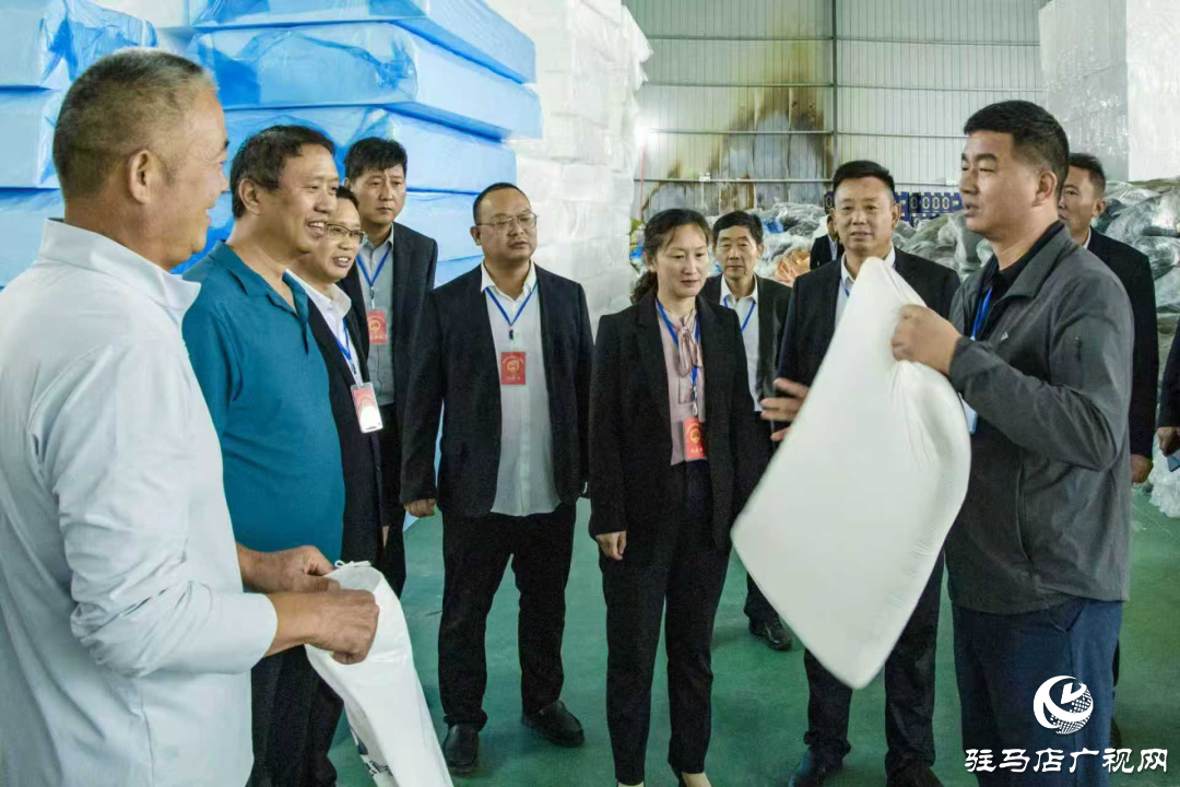 正陽(yáng)縣清源街道人大代表：深入企業(yè)聽(tīng)訴求 助企紓困解難題