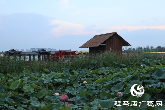 印象練江湖熙汐水岸主題樂(lè)園：解鎖秋日戶(hù)外愜意時(shí)光