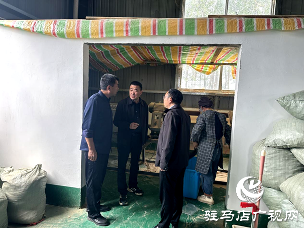 平輿縣射橋鎮(zhèn)：實(shí)地走訪調(diào)研 助力企業(yè)再上新臺階