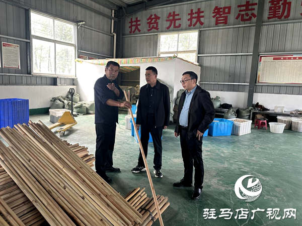 平輿縣射橋鎮(zhèn)：實(shí)地走訪調(diào)研 助力企業(yè)再上新臺階