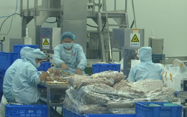 臻味上蔡食品：產(chǎn)銷兩旺趕訂單 創(chuàng)新發(fā)展蓄能量