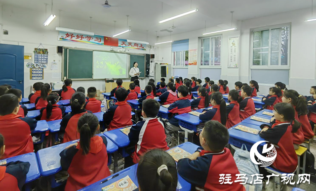 育見新力量丨蘇琳:十六載初心如磐 創(chuàng)新育人潤無聲