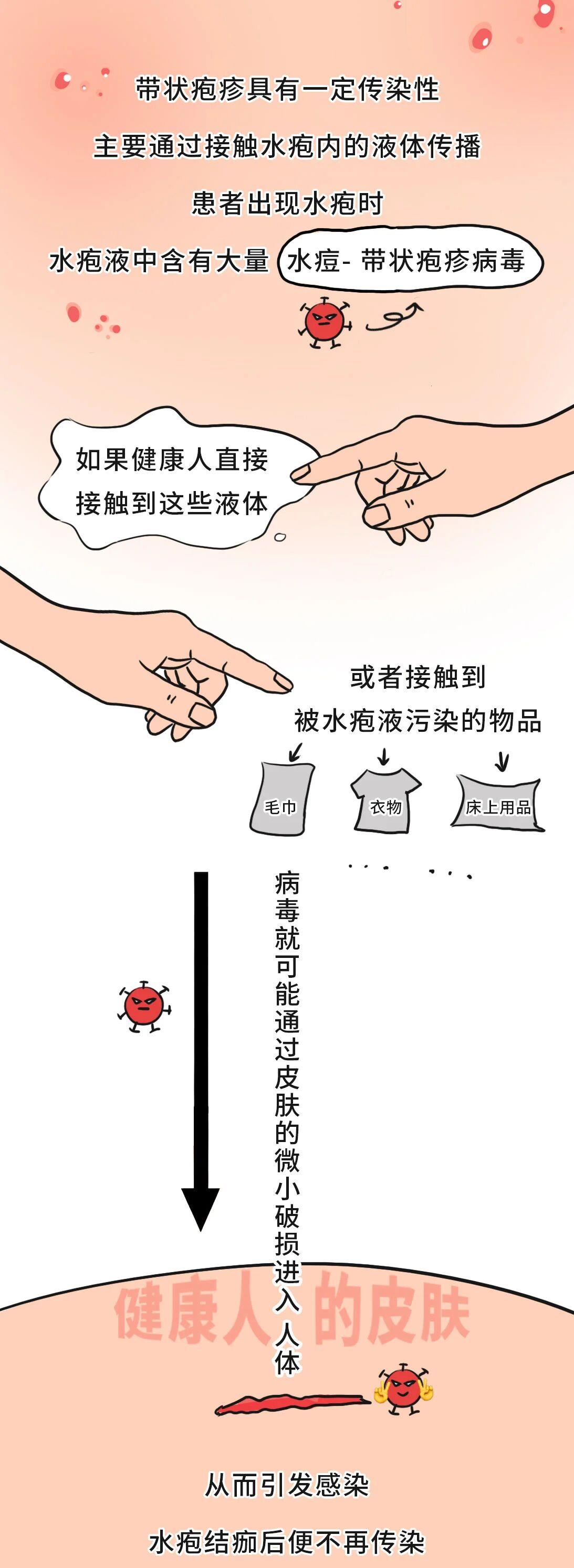 有必要帶爸媽打帶狀皰疹疫苗嗎？一圖了解