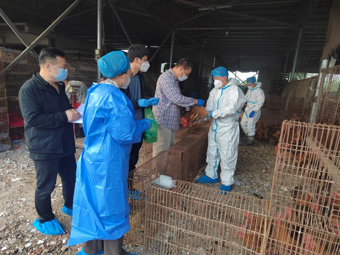 駐馬店市動物疫病防疫檢疫中心發(fā)布 2025年10月份動物疫病預警預報信息