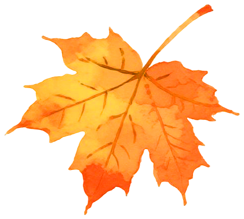 天中金秋繪斑斕 嵖岈山開啟西游奇幻新篇