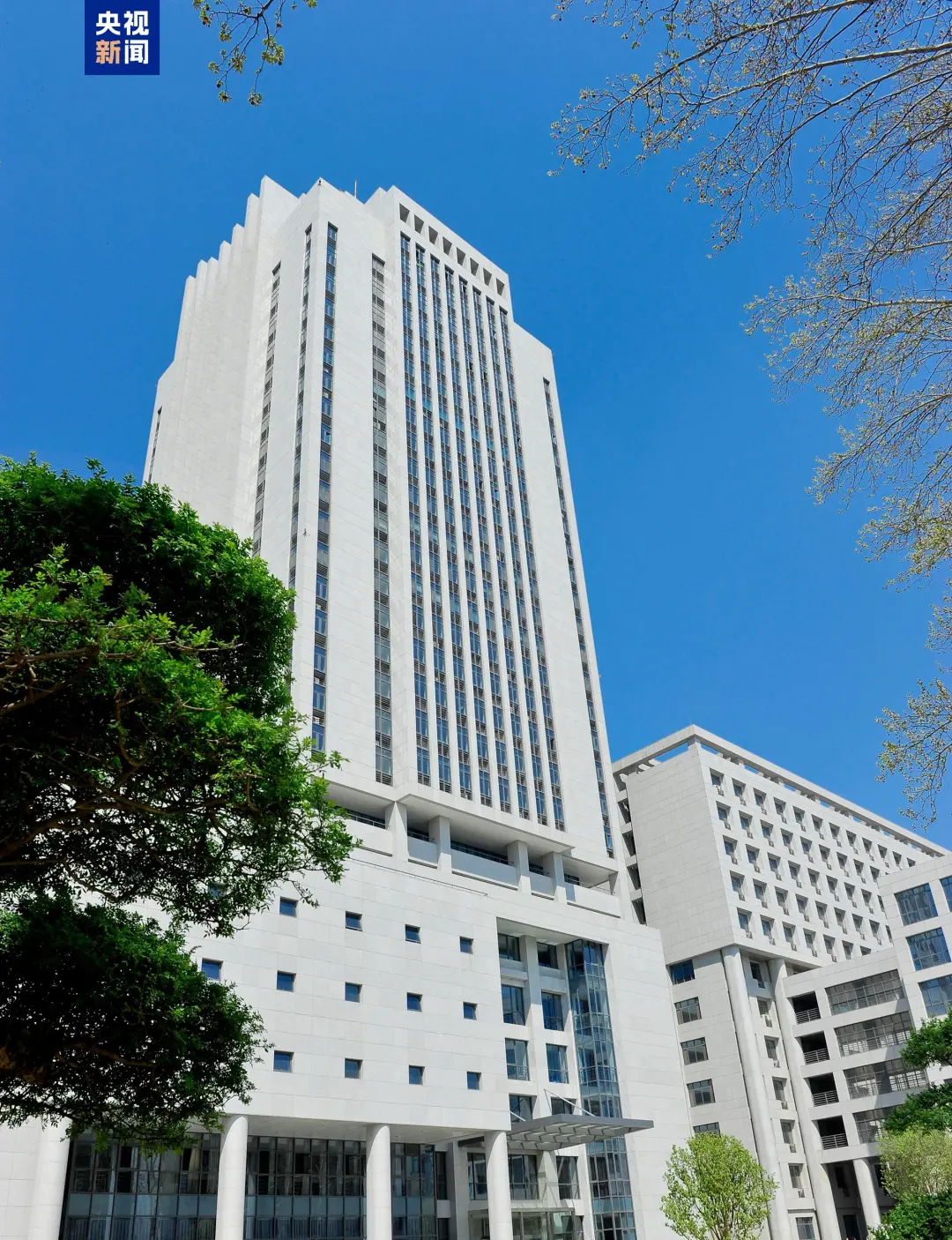 文博日歷丨山東大學收藏的這兩只小鳥 已經(jīng)飛了2800多年