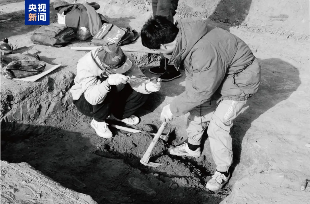 文博日歷丨山東大學收藏的這兩只小鳥 已經(jīng)飛了2800多年