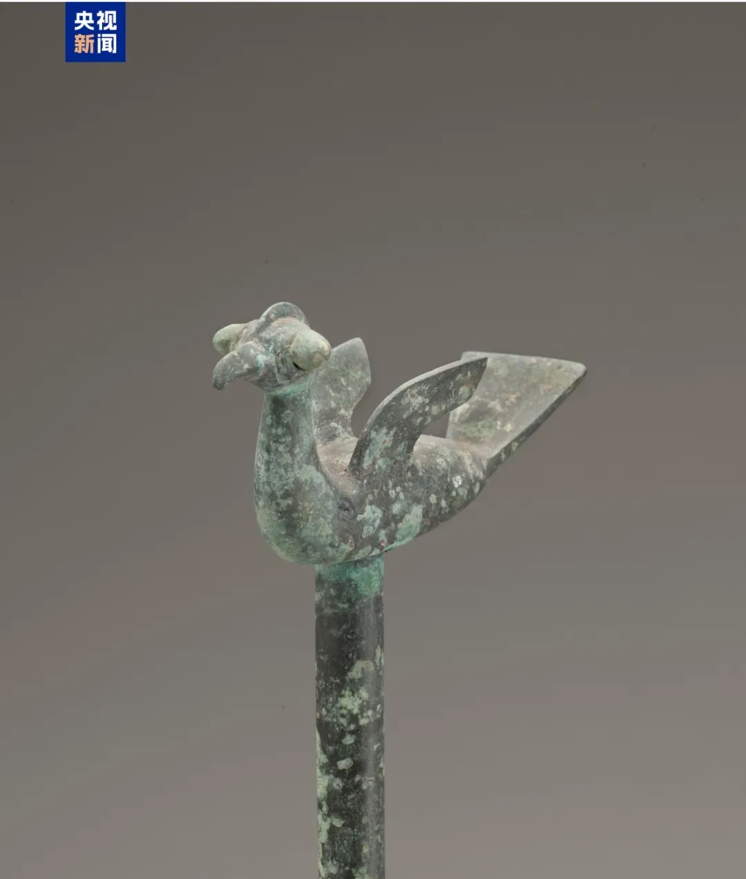 文博日歷丨山東大學收藏的這兩只小鳥 已經(jīng)飛了2800多年