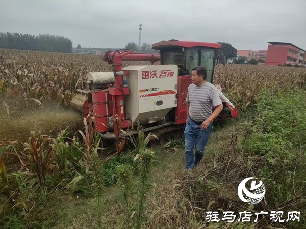 雨里搶、晴里收！萬(wàn)金店鎮(zhèn)干群接力“戰(zhàn)”天氣、護(hù)糧倉(cāng)