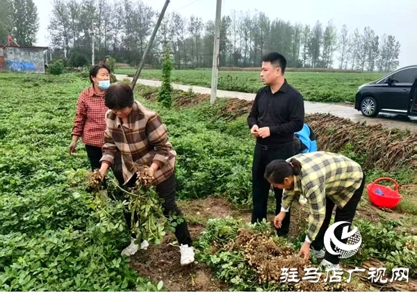 雨里搶、晴里收！萬(wàn)金店鎮(zhèn)干群接力“戰(zhàn)”天氣、護(hù)糧倉(cāng)
