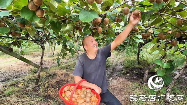 正陽(yáng)縣閭河鄉(xiāng)：生態(tài)種植結(jié)碩果 鋪就鄉(xiāng)村振興路