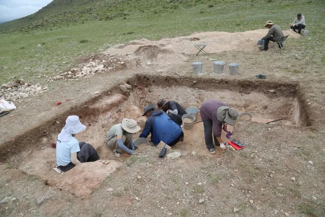 文博日歷丨這塊石碑“一字三體” 竟是古代“官方教科書”