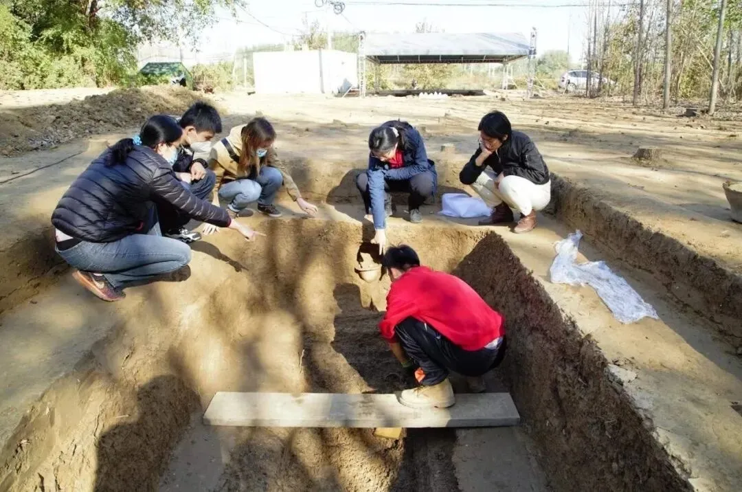 文博日歷丨這塊石碑“一字三體” 竟是古代“官方教科書”