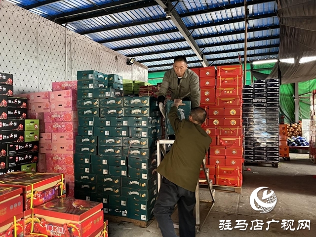 駐馬店市眾信農(nóng)副產(chǎn)品綜合批發(fā)市場：筑牢“雙節(jié)”蔬菜、水果保供防線