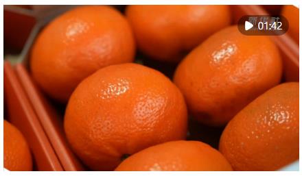 雙節(jié)同慶 進(jìn)口水果熱銷中國(guó)中部市場(chǎng)