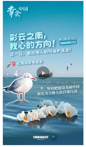 幸會(huì)中國(guó)｜堅(jiān)持把美麗中國(guó)建設(shè)轉(zhuǎn)化為全民行動(dòng)，守護(hù)高原明珠！