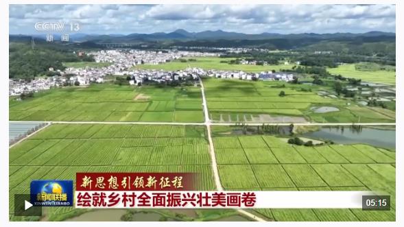 新思想引領新征程丨繪就鄉(xiāng)村全面振興壯美畫卷