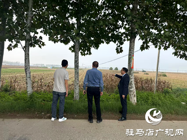 平輿縣射橋鎮(zhèn)：干群同心齊上陣 搶收搶種保歸倉(cāng)