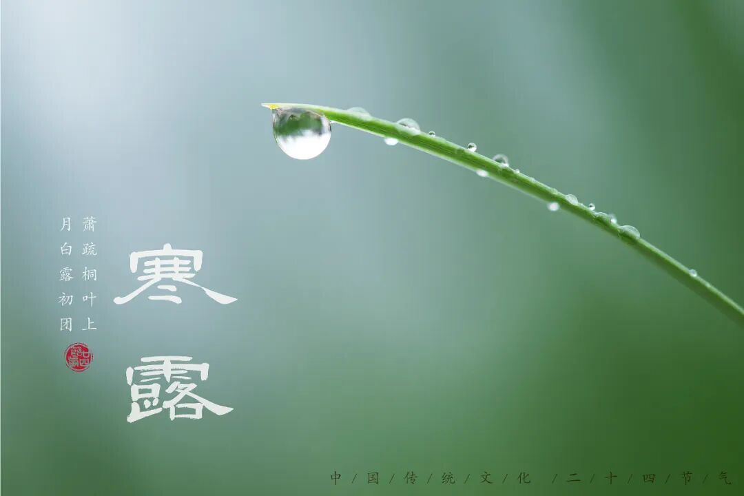 “早寒露”=冷冬預(yù)警？老祖宗的天氣預(yù)測，今年準(zhǔn)不準(zhǔn)？