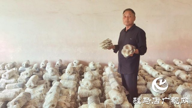 高建林：以食用菌種植助力鄉(xiāng)村振興