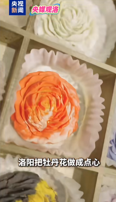 人民日報、央視聚焦60余次！