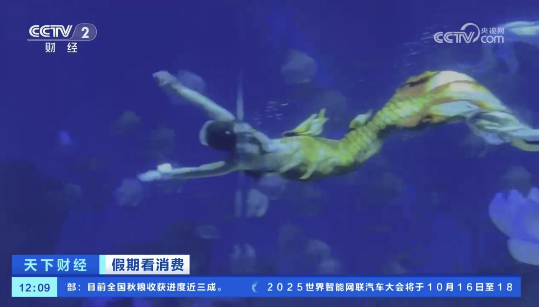 人民日報、央視聚焦60余次！