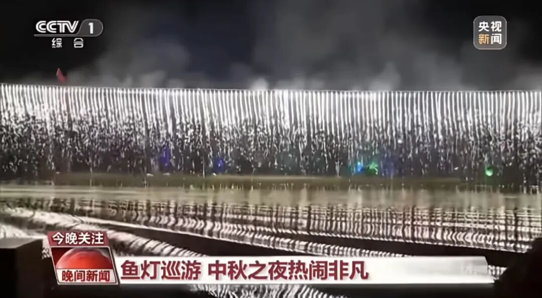 人民日報、央視聚焦60余次！