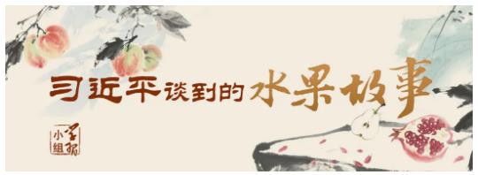 “石榴籽”的比喻