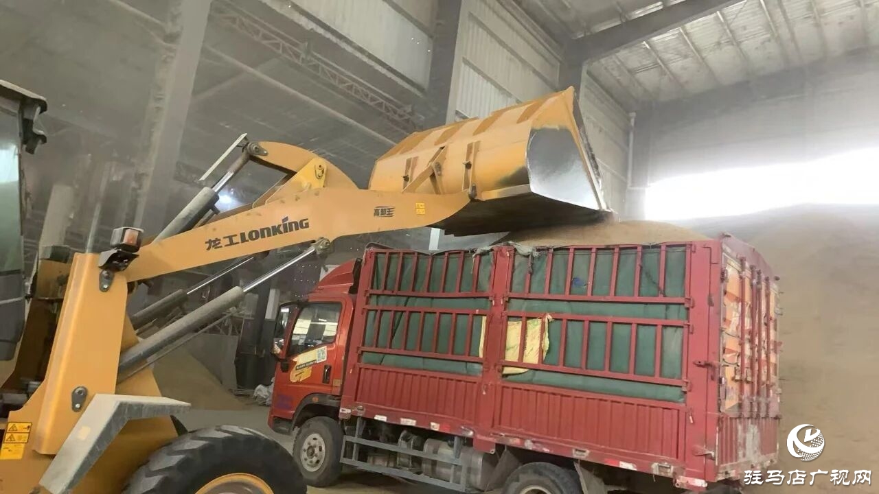 正陽(yáng)縣大林鎮(zhèn)：多措并舉下實(shí)功?全力護(hù)航“三秋”生產(chǎn)