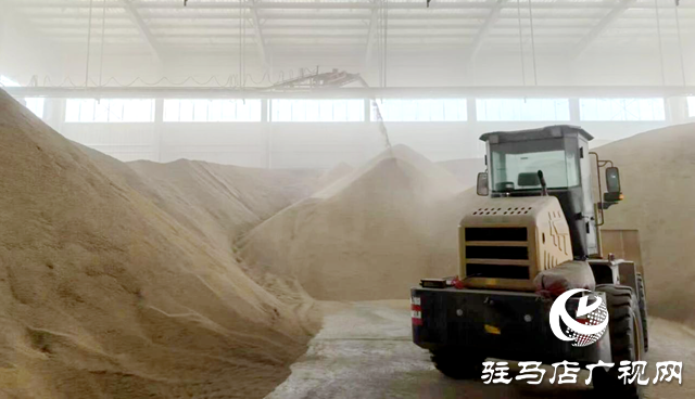 正陽縣大林鎮(zhèn)：多措并舉破解生產(chǎn)難題 保障“三秋”工作高效推進?