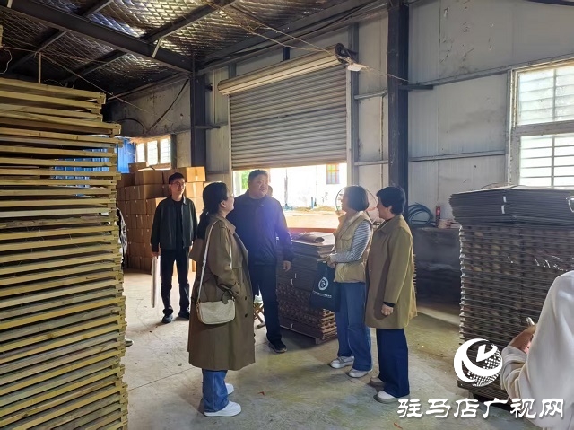 河南大學(xué)“國家級專家服務(wù)基地”落戶新蔡縣櫟城鎮(zhèn)