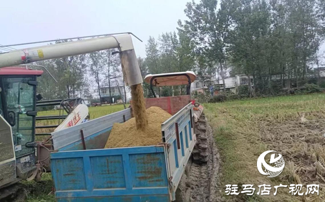 正陽縣大林鎮(zhèn)：多措并舉破解生產(chǎn)難題 保障“三秋”工作高效推進?