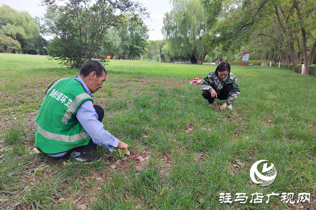 駐馬店置地公園：秋季養(yǎng)護(hù)正當(dāng)時 筑牢綠植越冬“防護(hù)網(wǎng)”