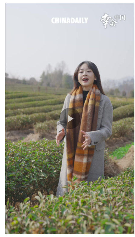 幸會中國 | 走進(jìn)福建武夷山，看綠水青山如何孕育金山銀山！