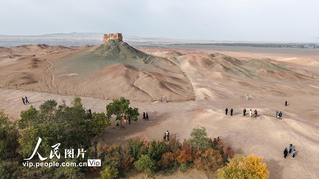 甘肅敦煌：陽關景區(qū)秋意漸濃