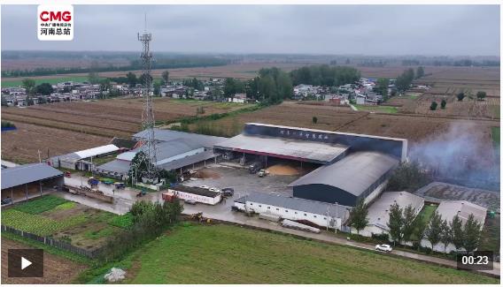 車輛穿梭搶烘忙 晝夜不停保秋糧