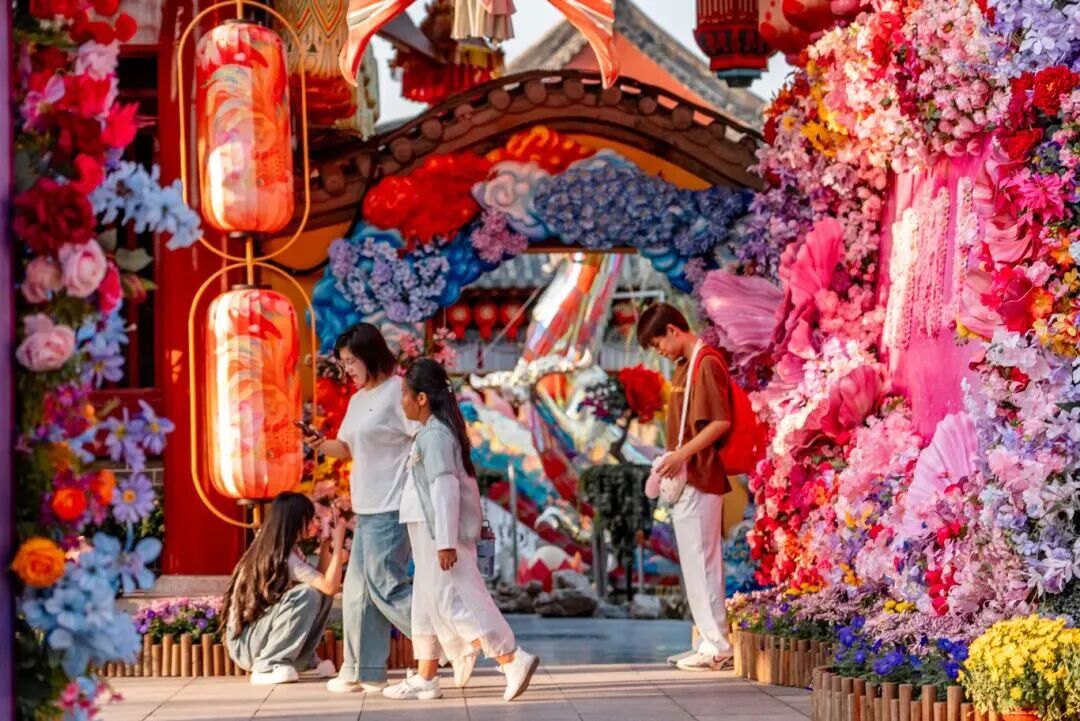 有一種浪漫，叫汴菊！