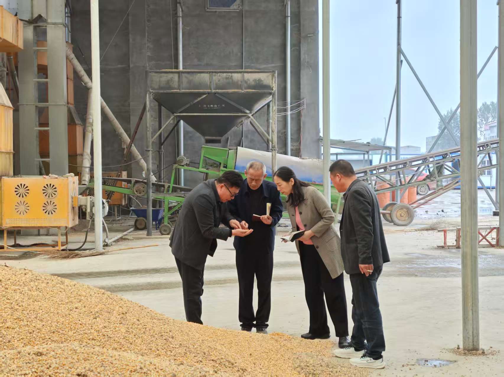 駐馬店市供銷(xiāo)合作社多措并舉護(hù)航秋糧收儲(chǔ)