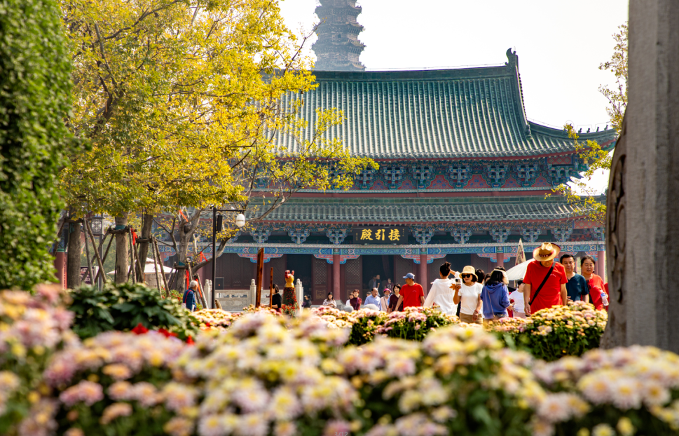 有一種浪漫，叫汴菊！