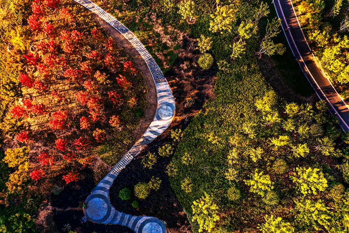 縣區(qū)動態(tài)｜草木知秋意 斑斕繪彩卷